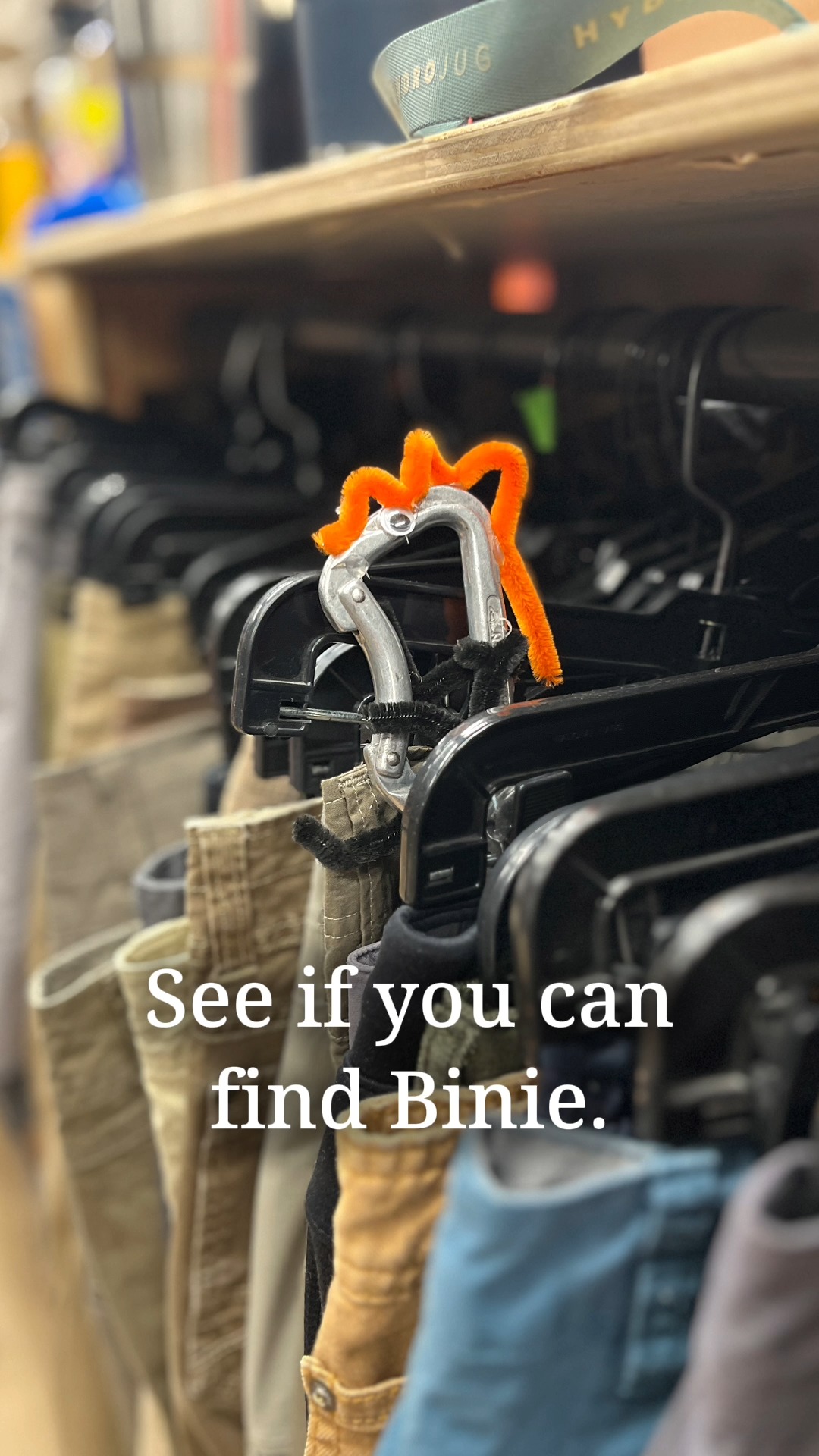 Ski & snowboard rack — refit for the season