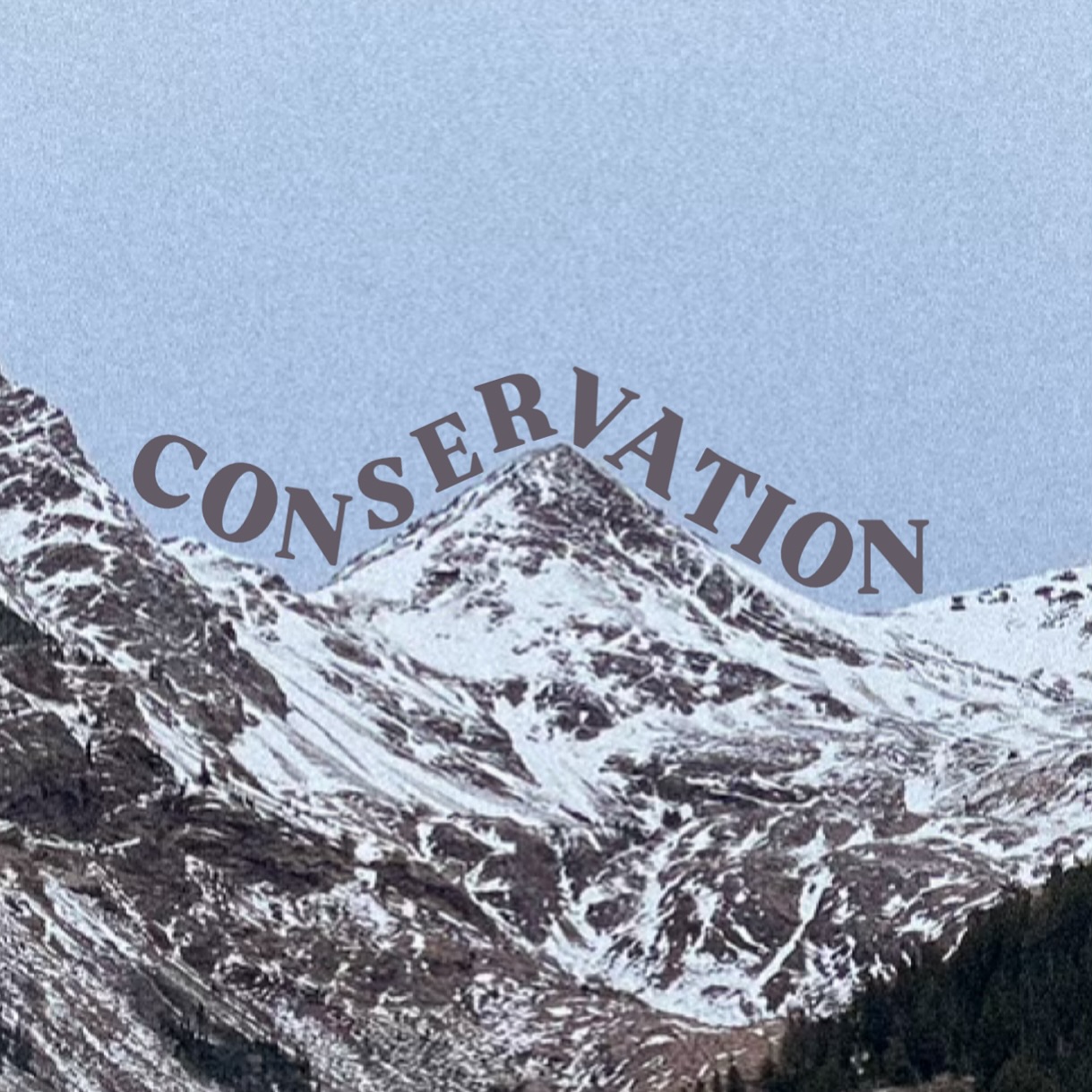 Field report from the Wasatch